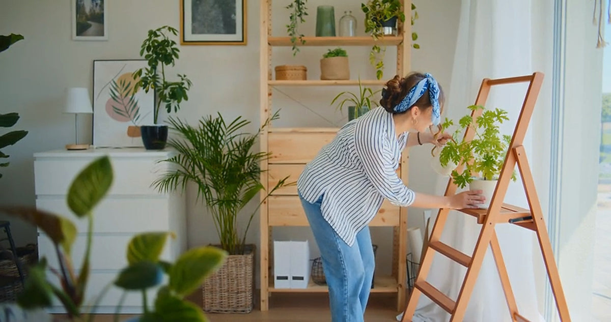 Make Vertical Space Work Harder: Open Shelving and Storage for Small Homes