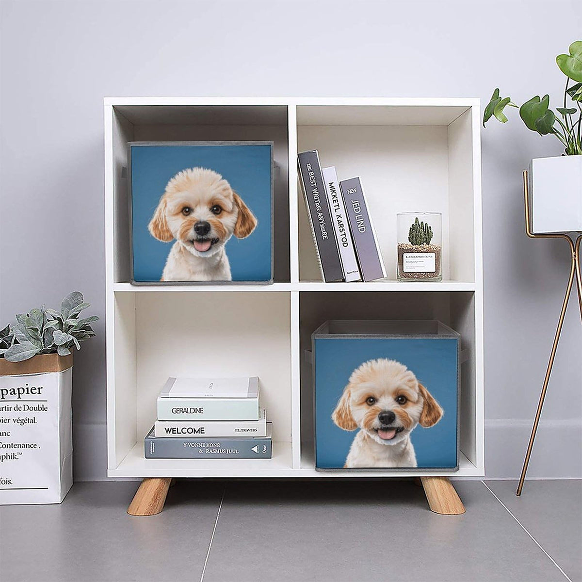 QWNMD Dog Paw Foldable Cube Storage Bins, 6-Pack